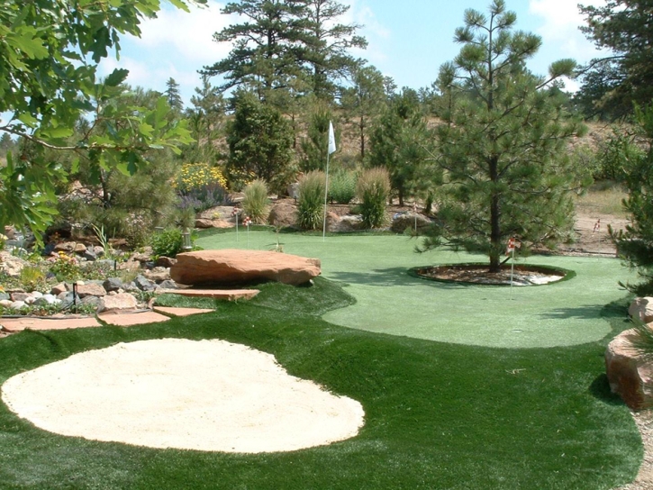 Fake Grass Carpet Napili-Honokowai, Hawaii How To Build A Putting Green, Backyards