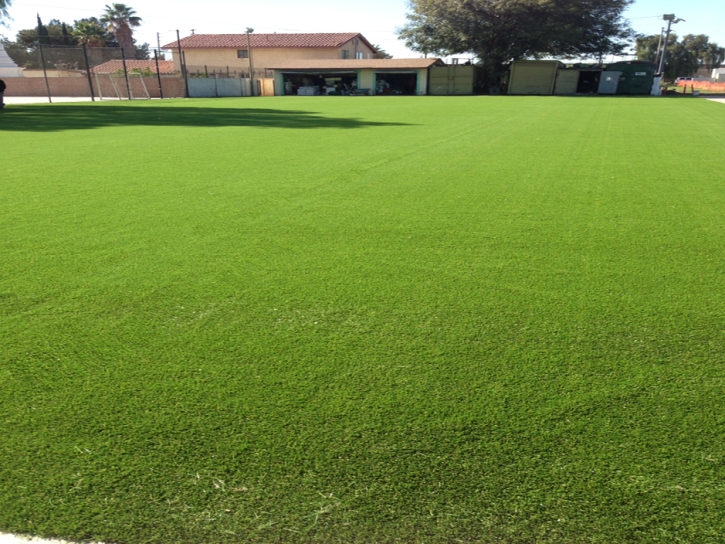 Fake Lawn Halaula, Hawaii Sports Turf, Recreational Areas