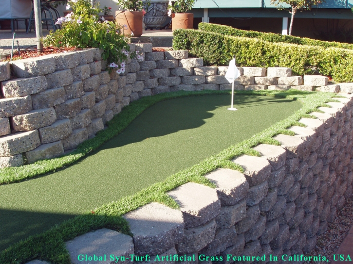 Fake Turf Kaneohe, Hawaii Putting Green Flags, Backyard Landscaping