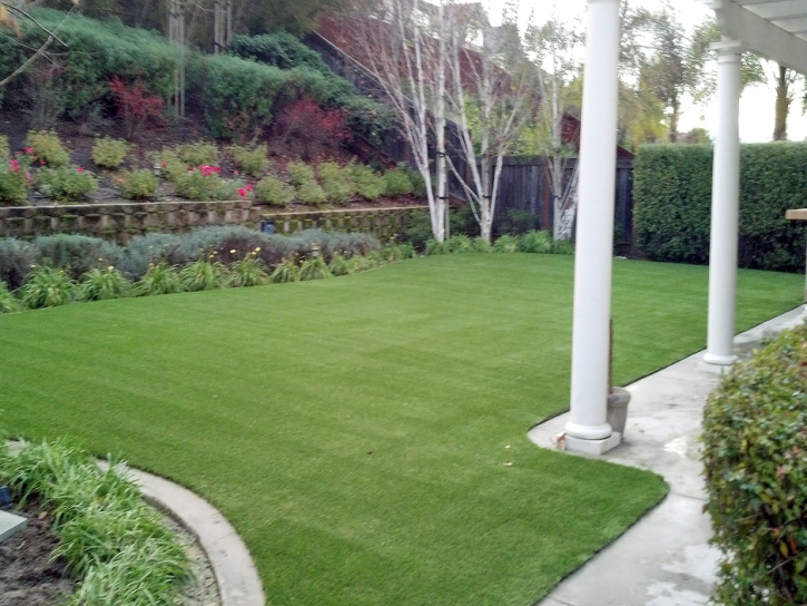 Grass Carpet Launiupoko, Hawaii Lawn And Garden, Backyard Garden Ideas