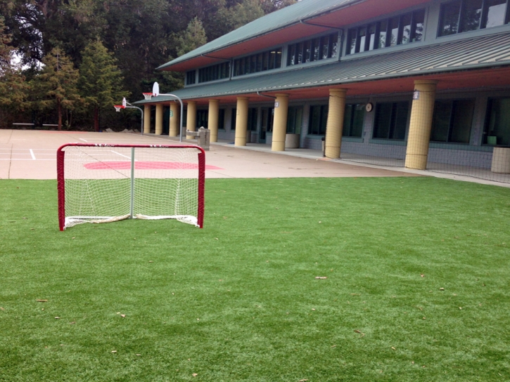 Grass Carpet Makaha, Hawaii Backyard Soccer, Commercial Landscape