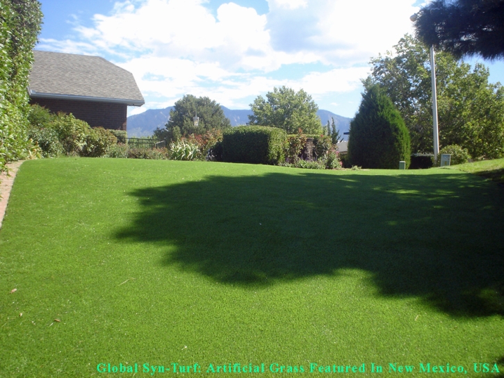 Grass Carpet Mililani Town, Hawaii Paver Patio, Backyard Makeover