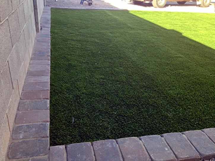 Green Lawn Fern Acres, Hawaii Pet Turf, Front Yard Design