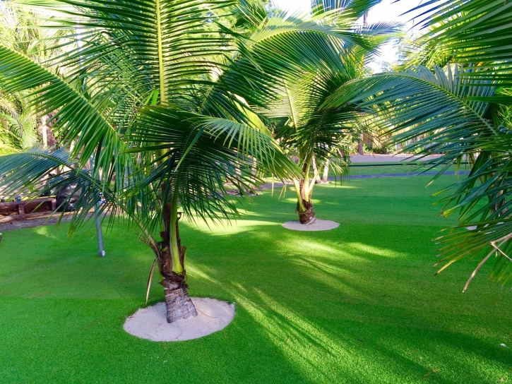 How To Install Artificial Grass Hawaiian Beaches, Hawaii Lawns, Commercial Landscape