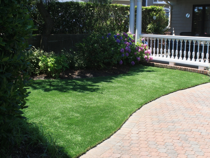 How To Install Artificial Grass Makawao, Hawaii Dog Running, Front Yard Landscaping