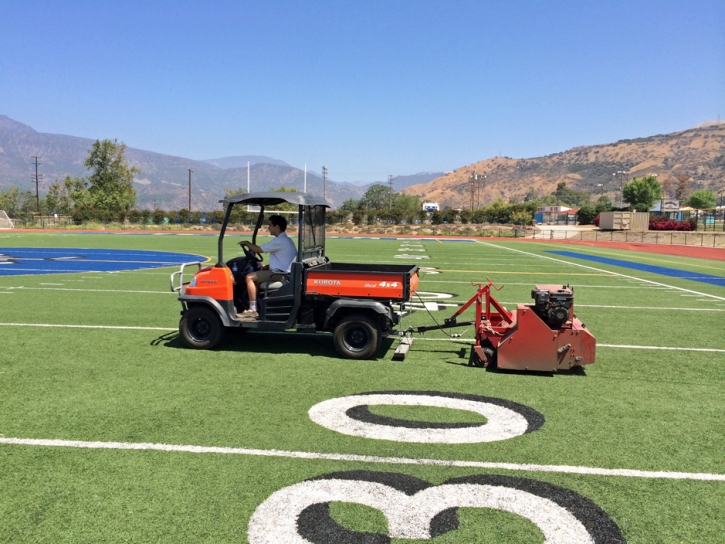 Outdoor Carpet Honomu, Hawaii Backyard Sports