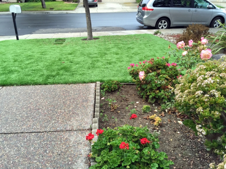 Outdoor Carpet Lihue, Hawaii Dog Run, Front Yard Landscaping Ideas