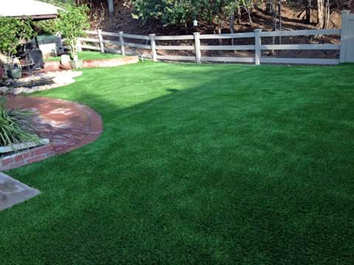 Outdoor Carpet Waimalu, Hawaii Backyard Playground, Backyard Landscaping