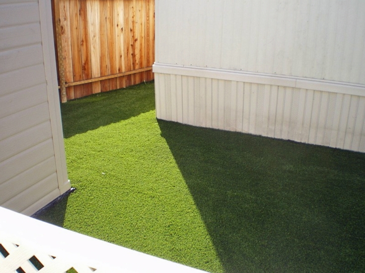 Plastic Grass Kahaluu, Hawaii Dog Running, Backyard Landscape Ideas