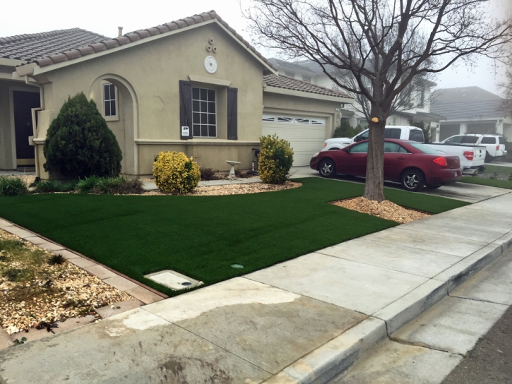 Plastic Grass Maili, Hawaii Landscaping Business, Small Front Yard Landscaping