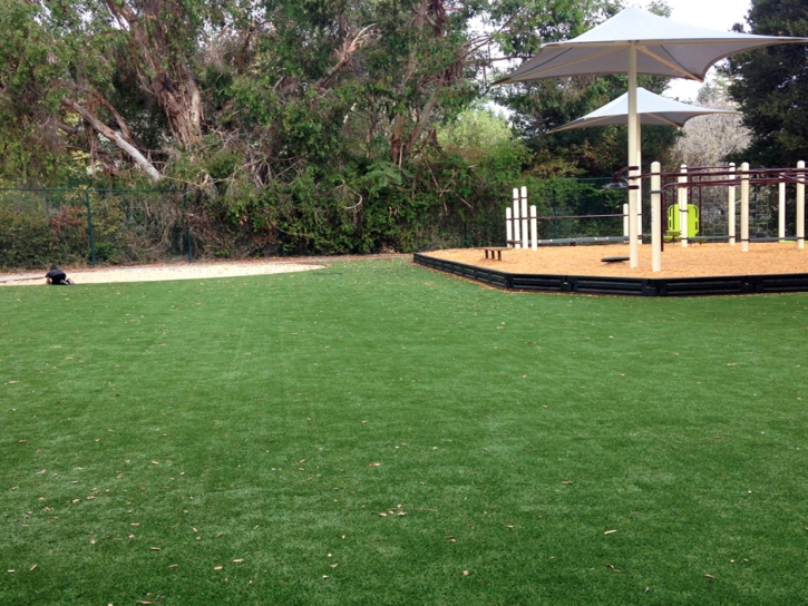 Plastic Grass Pukalani, Hawaii Indoor Playground