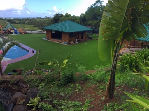 Plastic Grass Wailua, Hawaii Backyard Playground, Swimming Pools