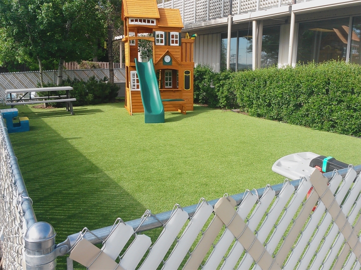 Plastic Grass Wailuku, Hawaii Lawn And Landscape, Backyard Landscape Ideas