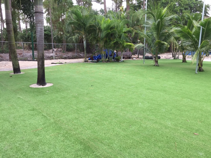 Synthetic Grass Cost Puhi, Hawaii Garden Ideas, Commercial Landscape