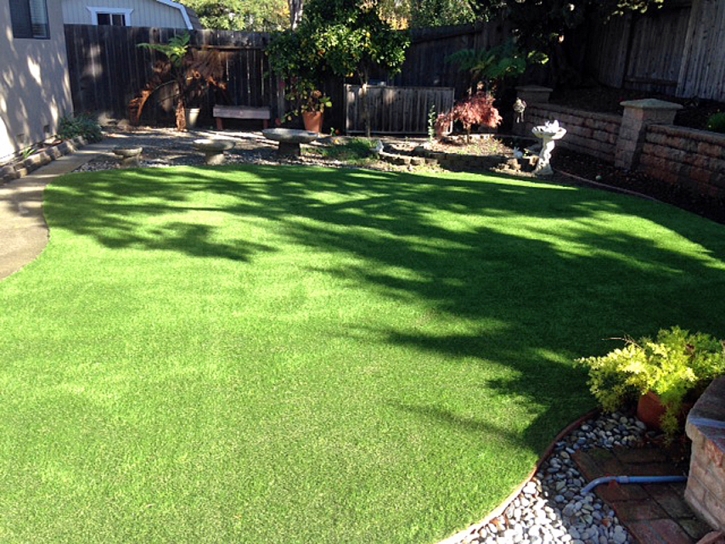 Synthetic Grass Cost Waipahu, Hawaii Cat Grass, Small Backyard Ideas