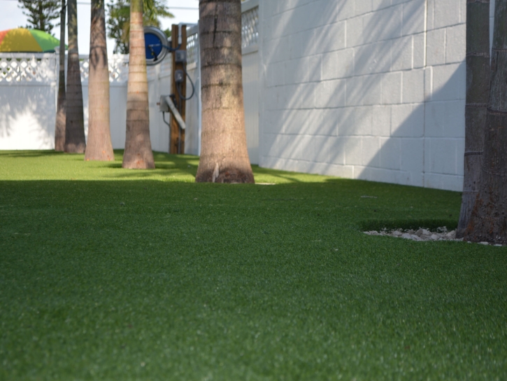 Synthetic Grass Haleiwa, Hawaii Landscape Ideas, Commercial Landscape