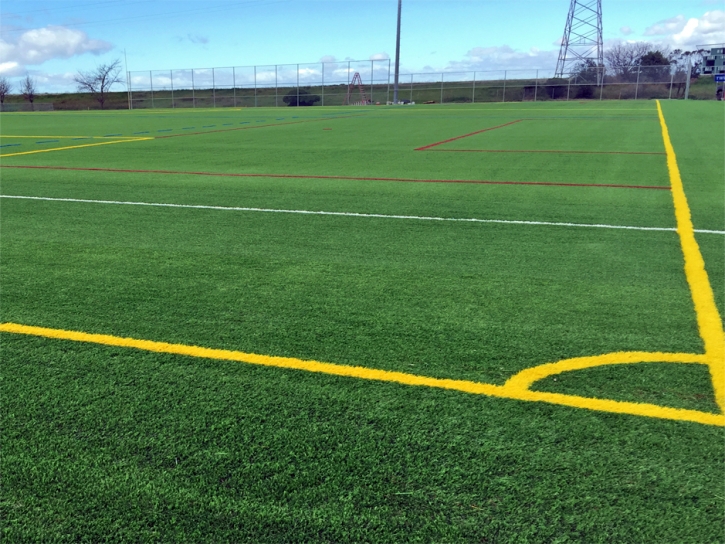 Synthetic Grass Olowalu, Hawaii Football Field