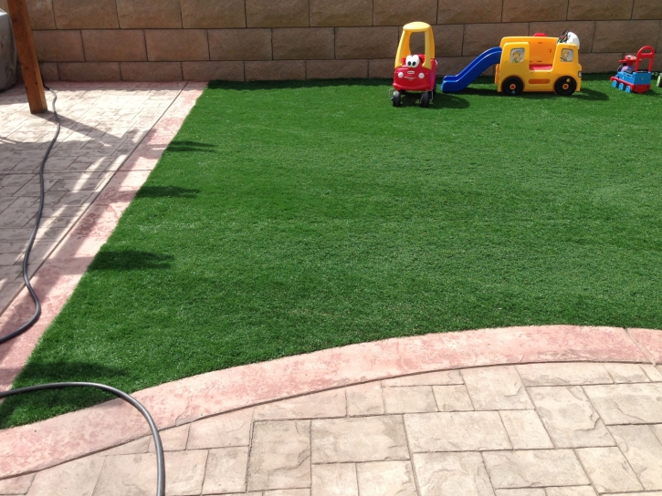 Synthetic Grass Paia, Hawaii Backyard Playground, Pavers