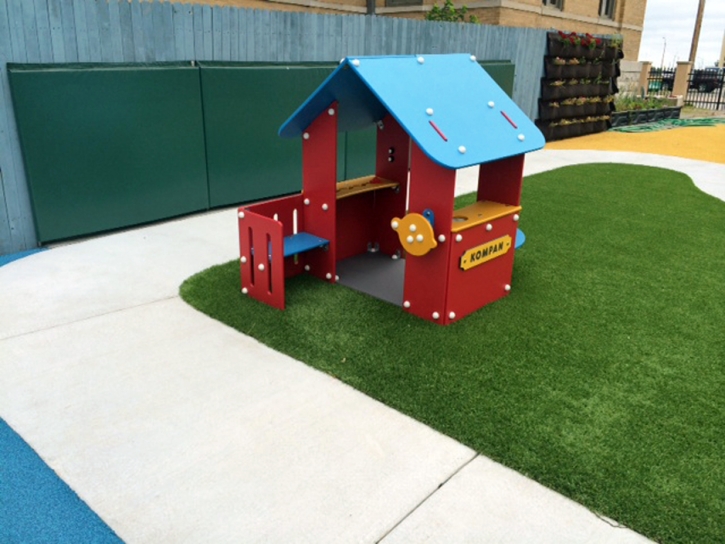 Synthetic Grass Poipu, Hawaii Indoor Playground, Commercial Landscape