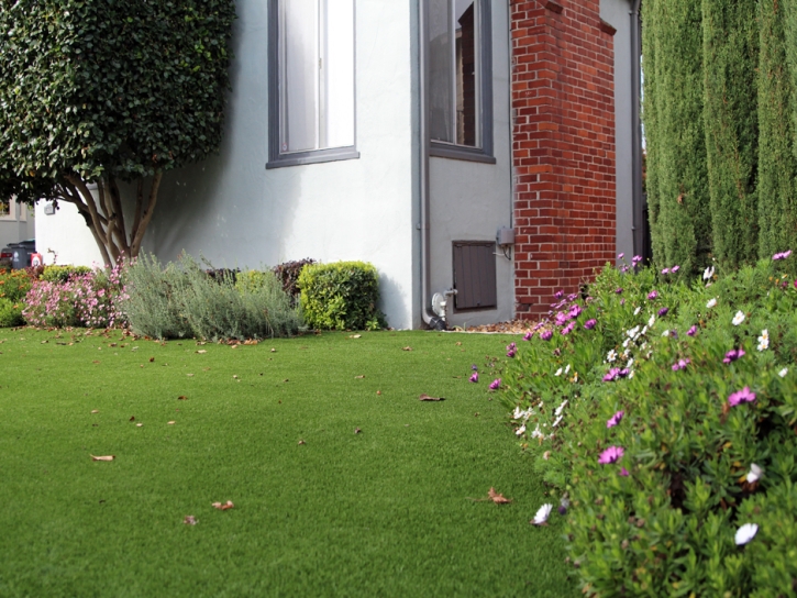 Synthetic Grass Waipio Acres, Hawaii Lawns, Landscaping Ideas For Front Yard
