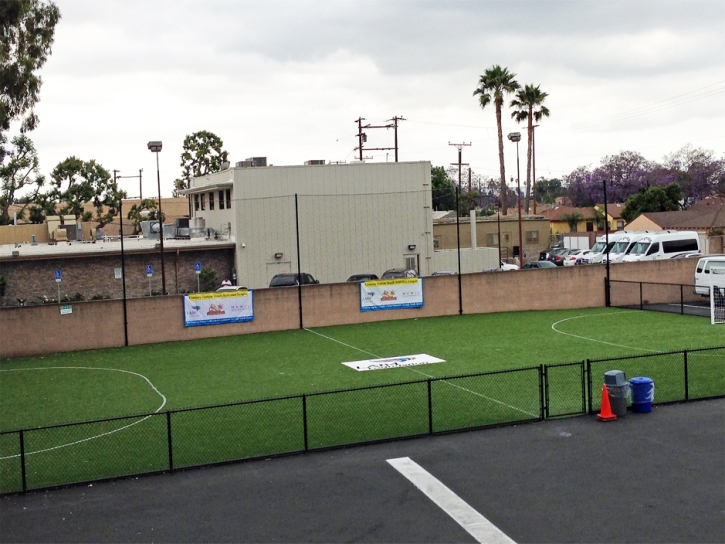 Synthetic Lawn Kahaluu-Keauhou, Hawaii High School Sports, Commercial Landscape