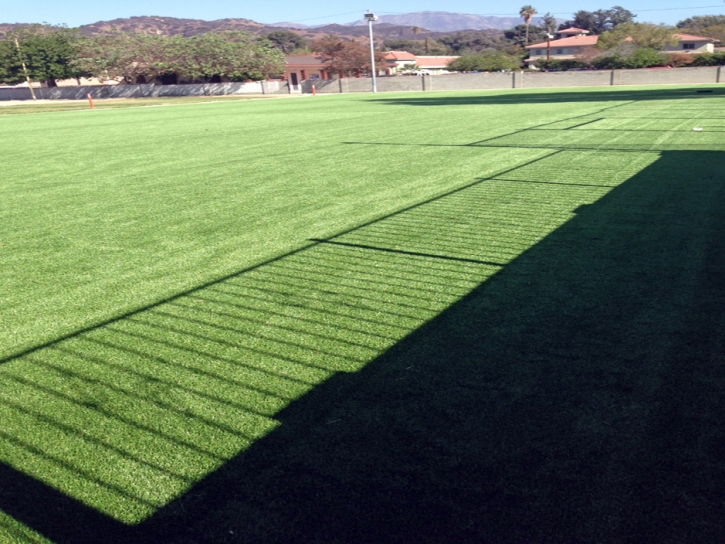 Synthetic Lawn Maunaloa, Hawaii Lawn And Landscape