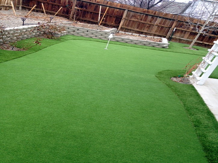 Synthetic Lawn Ualapue, Hawaii Indoor Putting Greens, Backyard Design