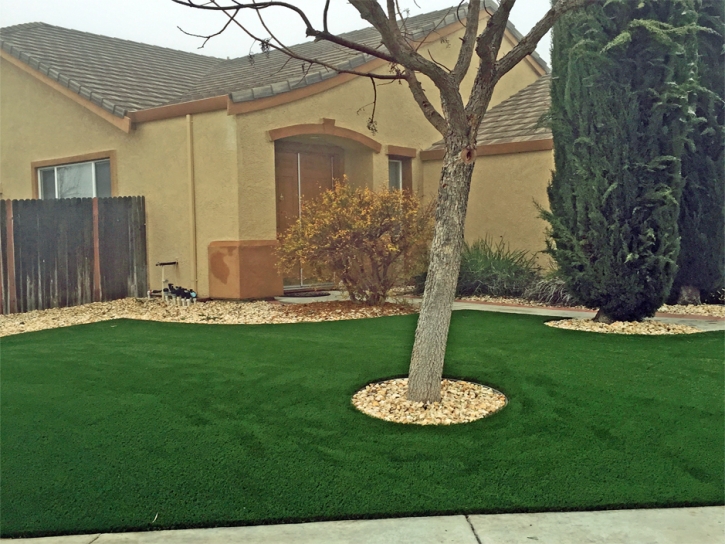 Synthetic Turf Aiea, Hawaii Garden Ideas, Front Yard