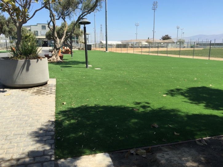 Synthetic Turf Honokaa, Hawaii Landscape Ideas, Recreational Areas