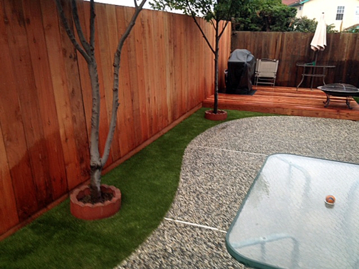 Synthetic Turf Kalihi Wai, Hawaii Hotel For Dogs, Beautiful Backyards