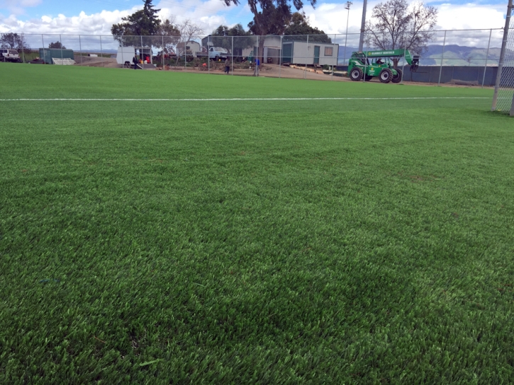 Synthetic Turf Kawela Bay, Hawaii Sports Turf