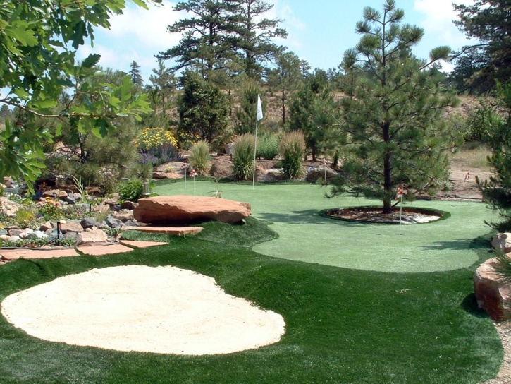 Synthetic Turf Pepeekeo, Hawaii Diy Putting Green, Backyards