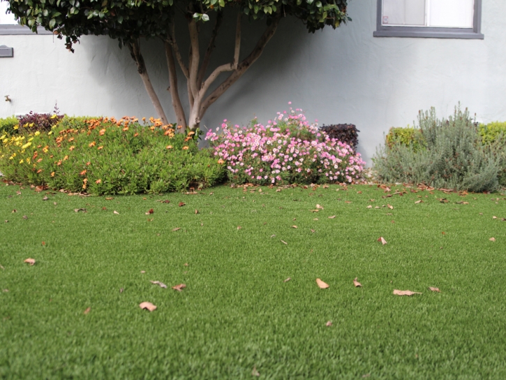 Synthetic Turf Supplier Kailua-Kona, Hawaii Landscape Design, Landscaping Ideas For Front Yard