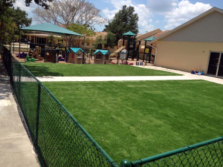 Synthetic Turf Supplier Laie, Hawaii Indoor Playground, Commercial Landscape