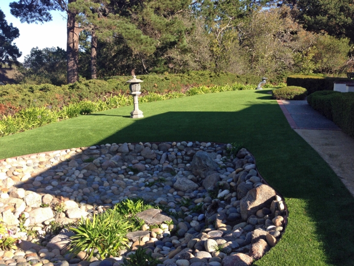 Synthetic Turf Waikoloa, Hawaii Hotel For Dogs, Backyards