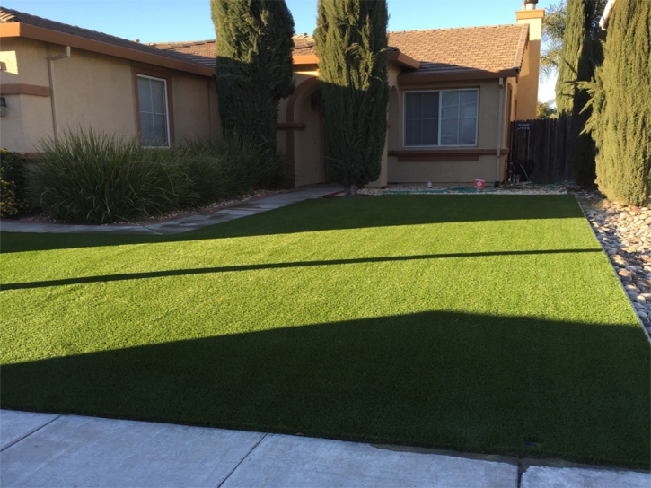 Synthetic Turf Waipio, Hawaii Garden Ideas, Small Front Yard Landscaping